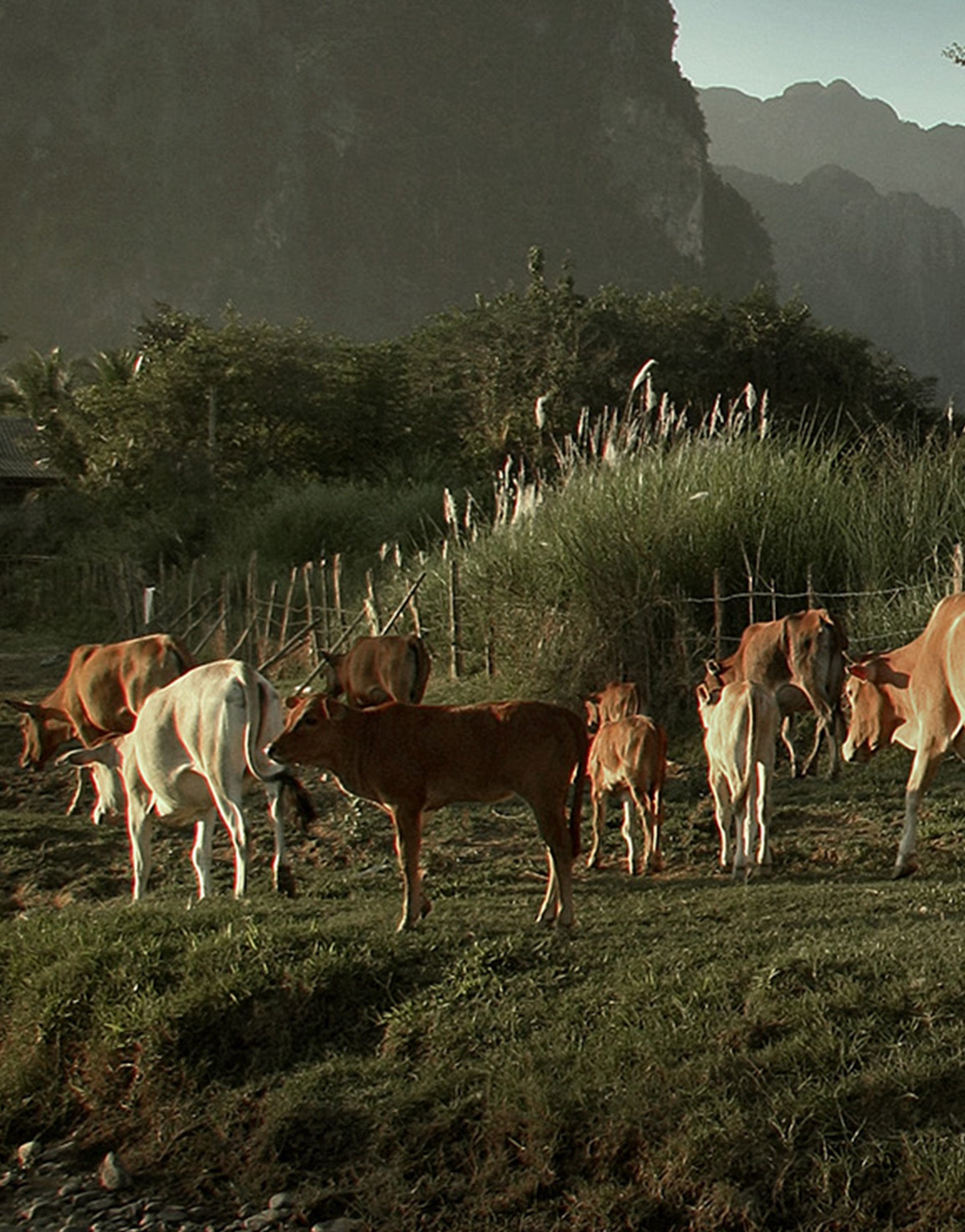 Faimly Farm Technologies Pvt. Ltd.