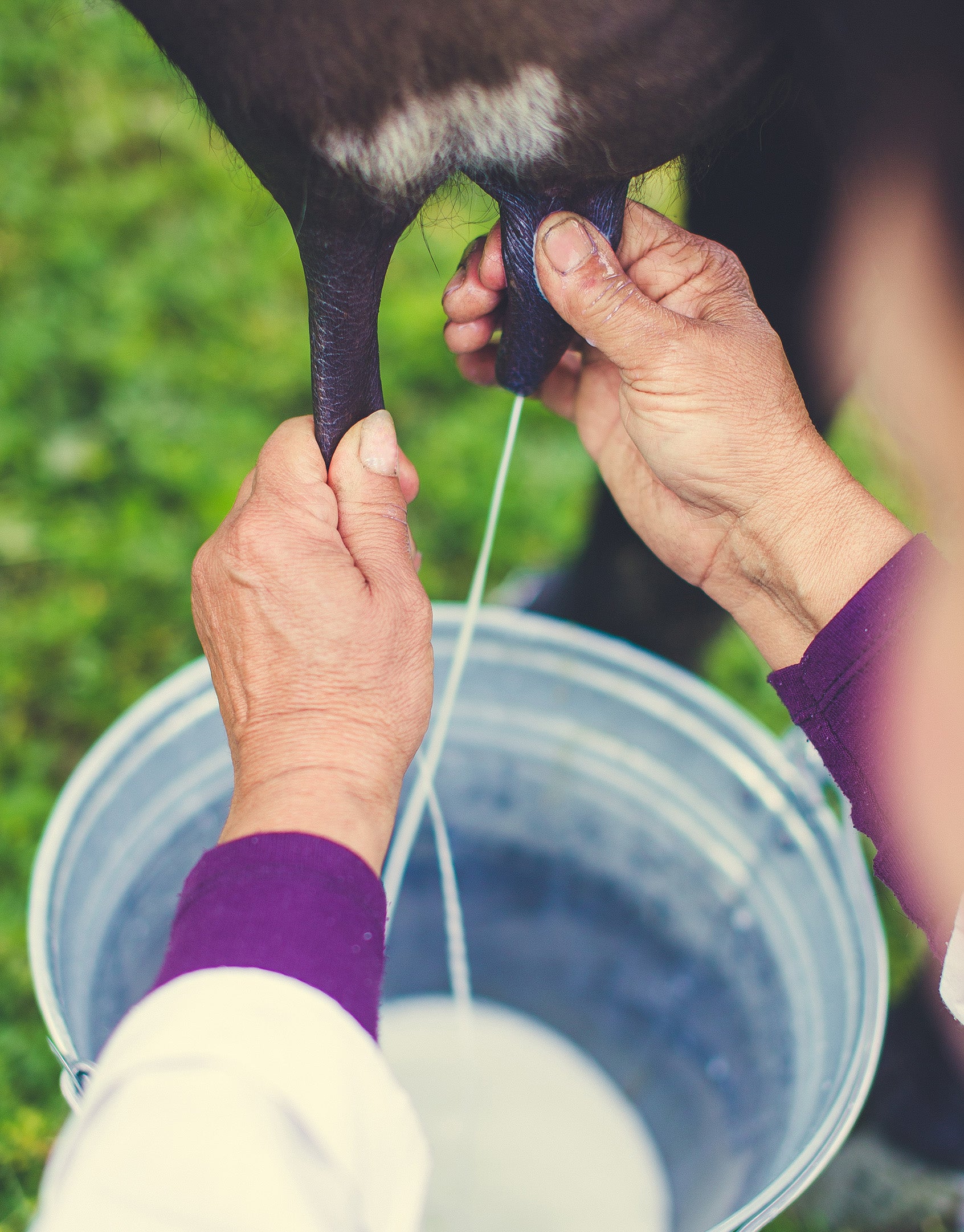 Faimly Farm Technologies Pvt. Ltd.