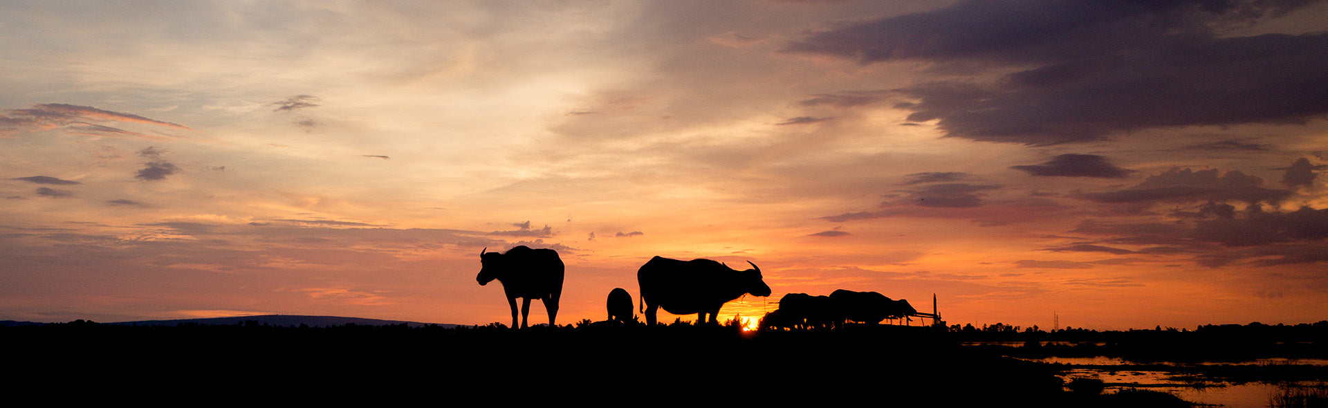 Faimly Farm 