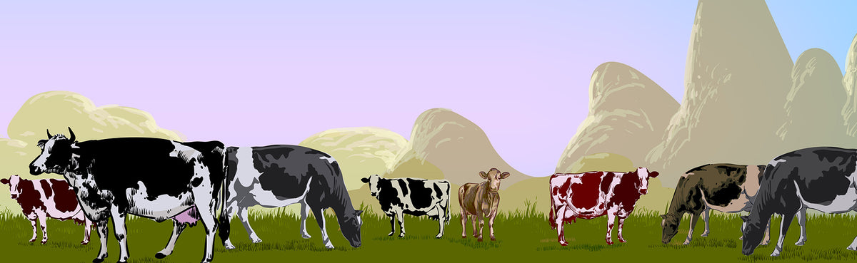 Faimly Farm 