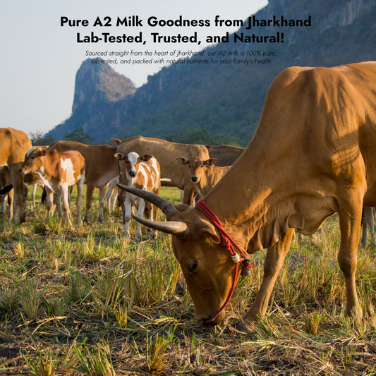 Faimly Farm Technologies Pvt. Ltd.