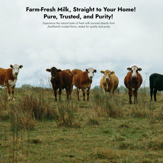 Faimly Farm Technologies Pvt. Ltd.