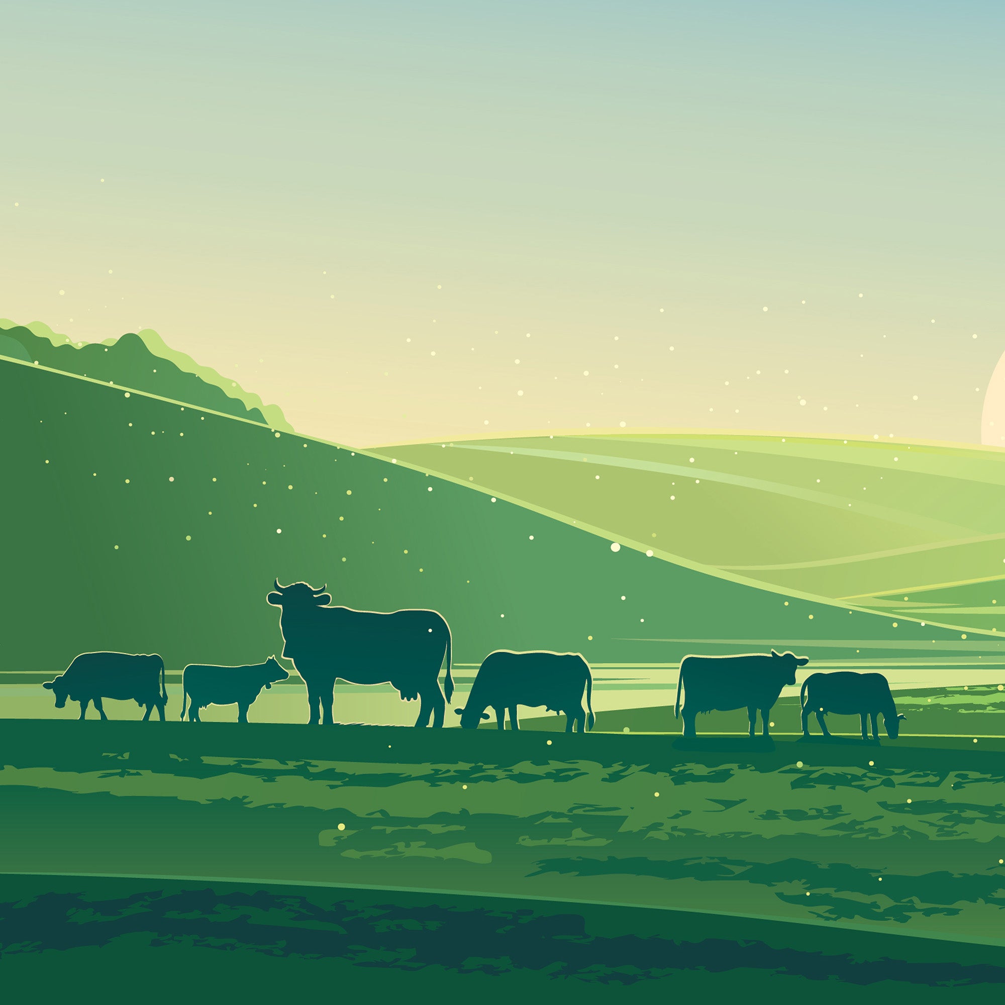 Faimly Farm Technologies Pvt. Ltd.